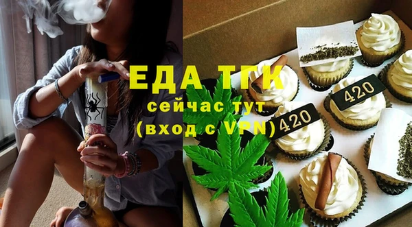 гидра Вяземский