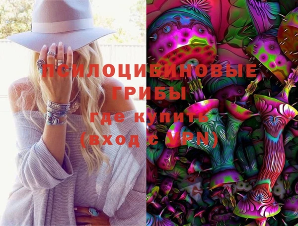 дмт Горняк