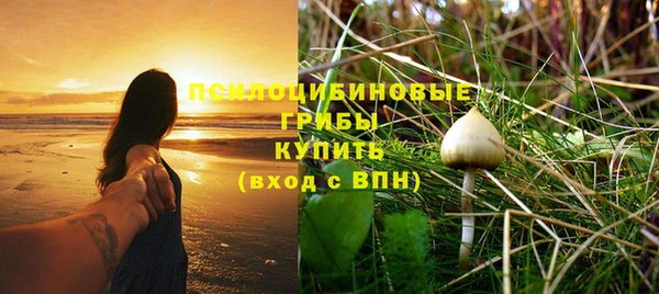 дмт Горняк