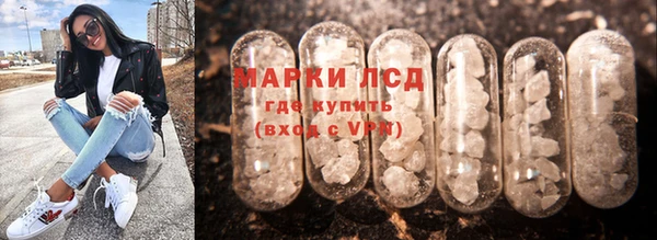 индика Верхний Тагил