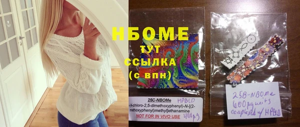 гидра Вяземский