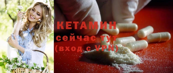 гидра Вяземский