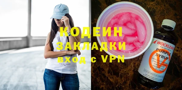 гидра Вяземский