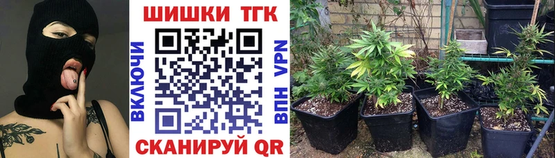 Бошки марихуана Amnesia  Жирновск 